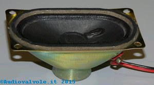 Altoparlante Ellittico