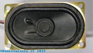 Altoparlante Ellittico