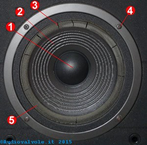 Altoparlante Woofer con membrana a rigidità differenziata adatto per l'impiego come mid-woofer in una cassa a due vie