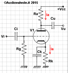 Polarizzazione automatica griglia