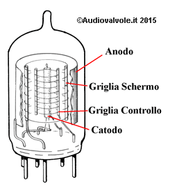 Tetrodo caratteristiche costruttive